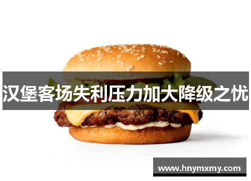 汉堡客场失利压力加大降级之忧